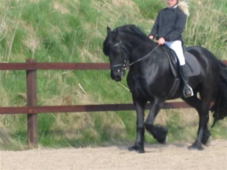 Frieser Strauss (The Black Pearl) billede 6