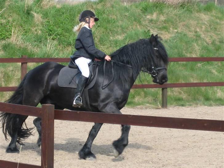 Frieser Strauss (The Black Pearl) billede 7