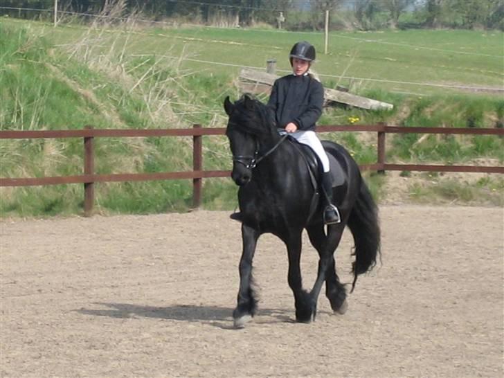 Frieser Strauss (The Black Pearl) billede 8