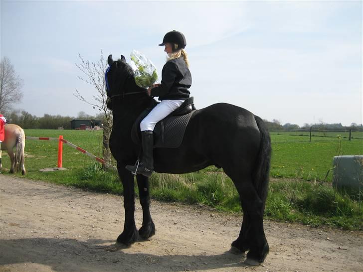 Frieser Strauss (The Black Pearl) billede 10