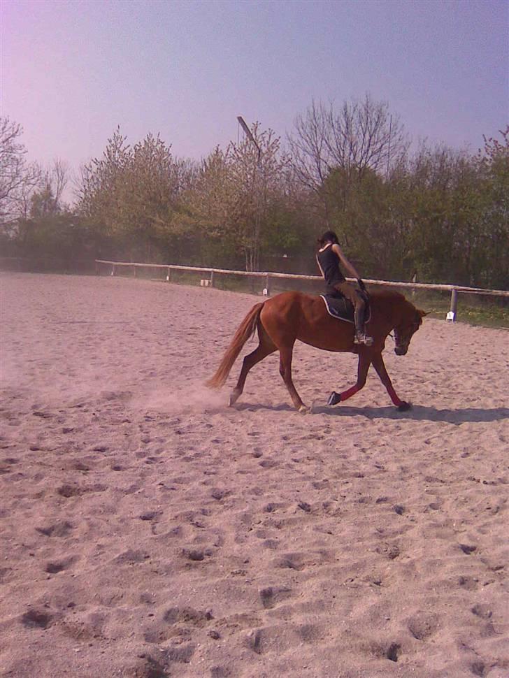 Oldenborg Malik billede 14