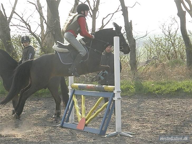 Anden særlig race westergaard`s mike B-pony - ihhhh;D hehe vi er bare gode <3 hehe mike du er bare mit ET&ALT<3 :* billede 7