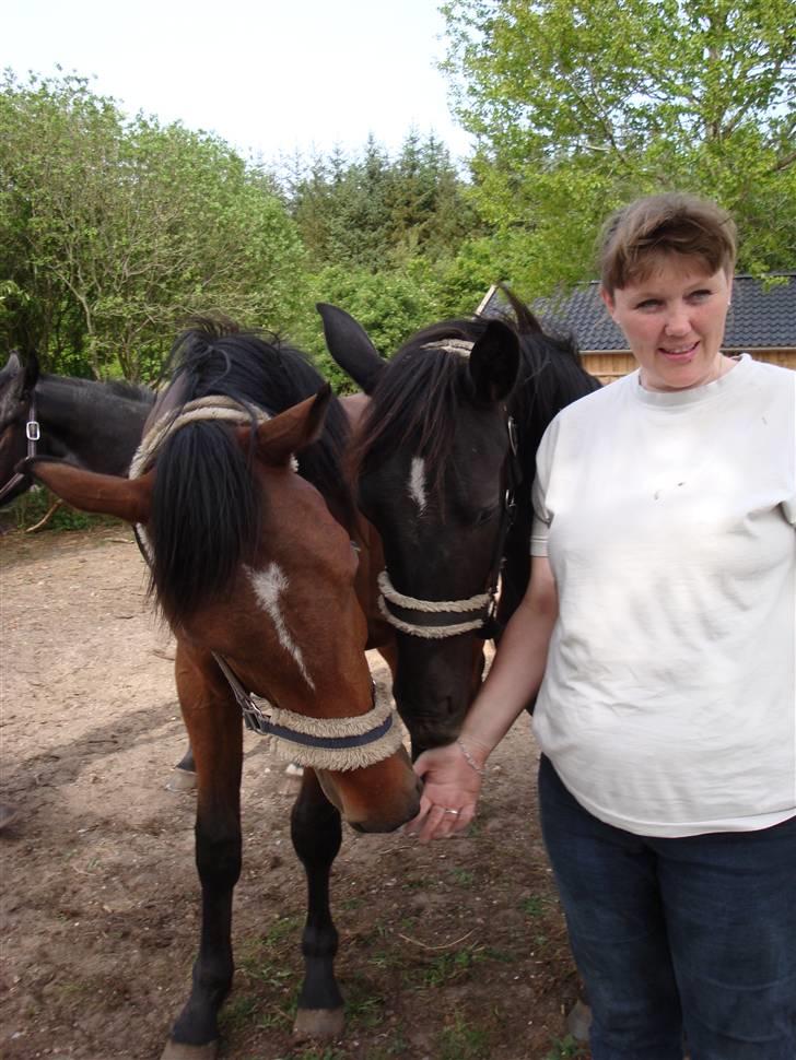 Oldenborg my fair lady (død  ) :,-( - malthe & lady &mig billede 4
