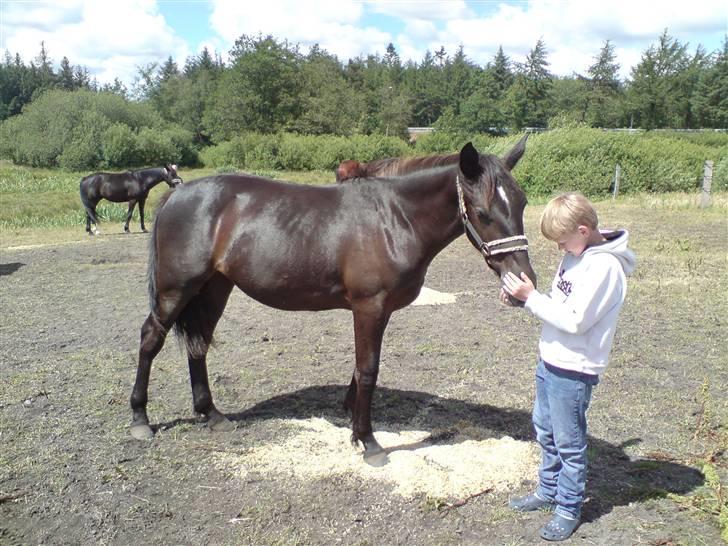 Oldenborg my fair lady (død  ) :,-( - lady & johnas nusser billede 6