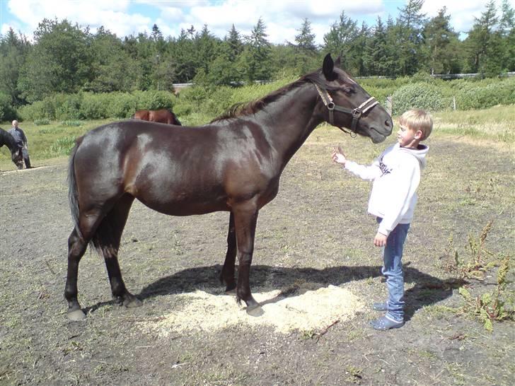 Oldenborg my fair lady (død  ) :,-( - johnas & lsdy kysser igen ;-) billede 8