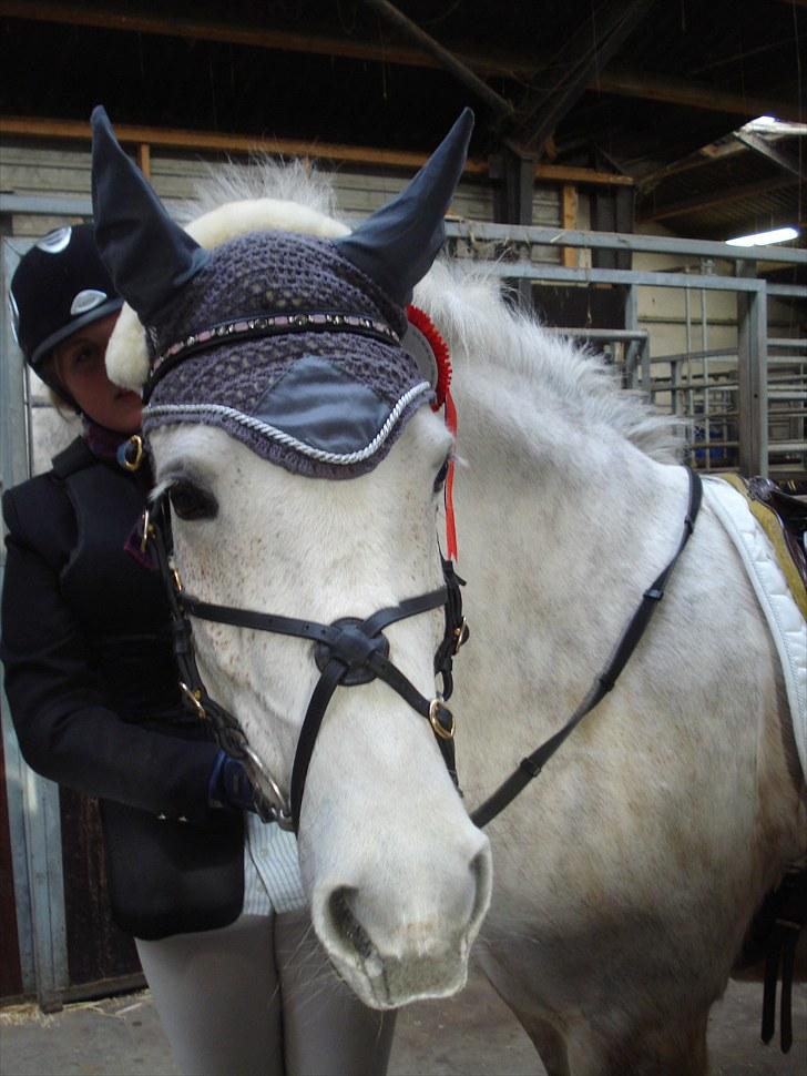Anden særlig race Cloe :'( Min engel! R.I.P - Du var min engel allrede inden på forladte denne jord.  billede 18