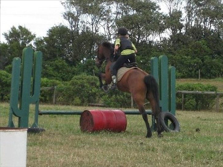 Anden særlig race Phi-mu (rideskole hest) - 17) endelig kom vi over foto caroline tror jeg:D billede 16