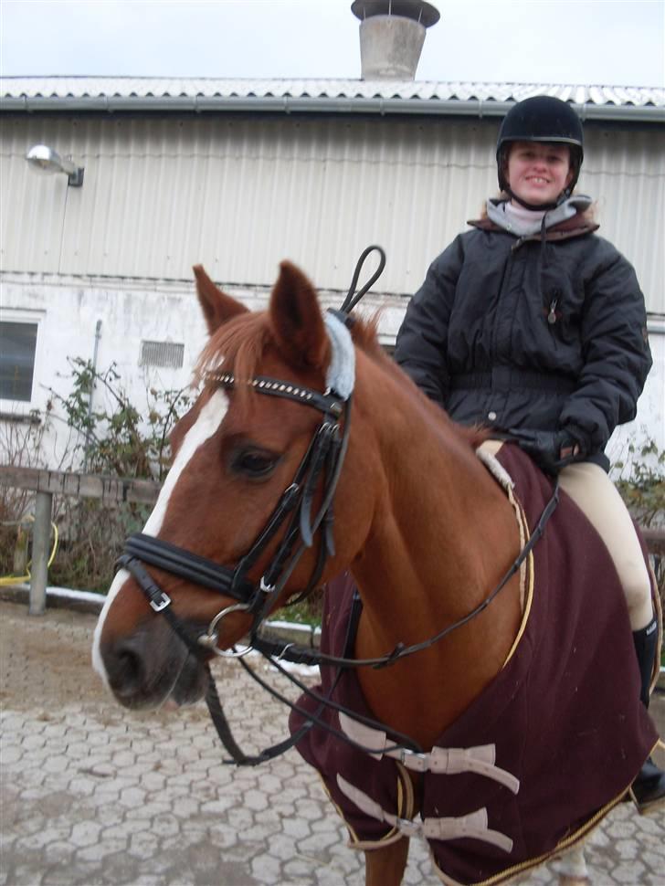 DSP Fruetoftens Lucky. xpart billede 4