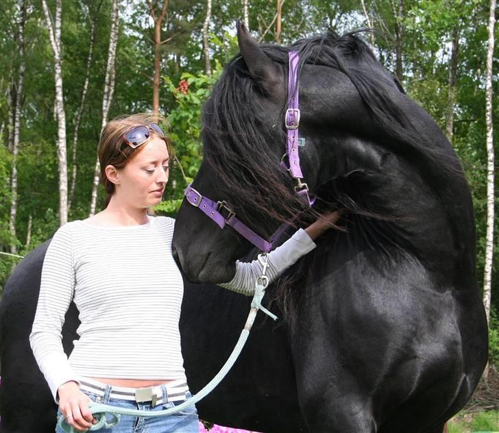 Frieser Henrik p van d`oerte - hvem er du?? billede 16