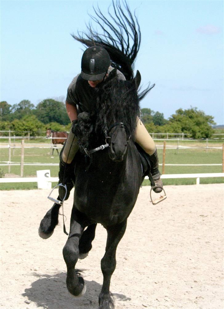 Frieser Henrik p van d`oerte - kunsten at falde af billede 18