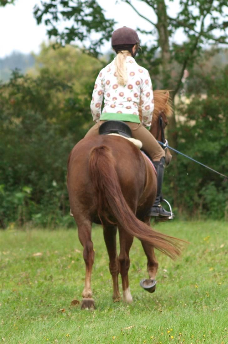 Anden særlig race Supri<3*farvelminengel:'( - Så siger vi farvel for denne gang! elsker dig <3 billede 20