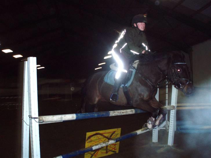 Anden særlig race westergaard`s mike B-pony - MIKE I LÆKKER STIL OVER 1 METER xD <3 <3 ILY MIKE MIIN BETTE DRENG :*       ( springer med GABBI´S gamacher) :* billede 13