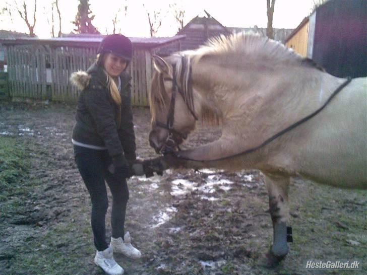 Anden særlig race Bygge`s Luna <3 - luna der giver mig hendes ben XD  <3 billede 9