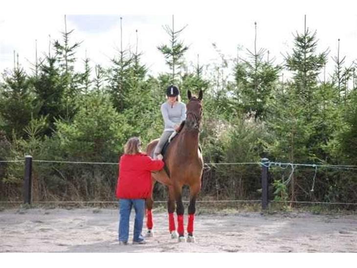 {{currentPhoto.altText}} billede {{currentPhoto.number}}