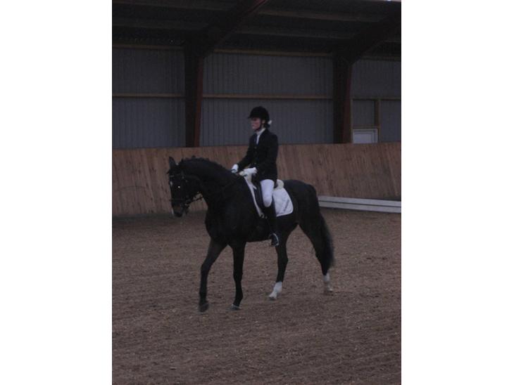 {{currentPhoto.altText}} billede {{currentPhoto.number}}