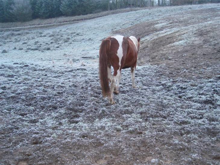 {{currentPhoto.altText}} billede {{currentPhoto.number}}