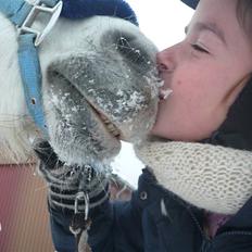 Welsh Mountain (sec A) Rosengårdens Jasmin
