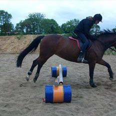 Anden særlig race quinta Soglt