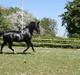 Oldenborg Lone Donholm