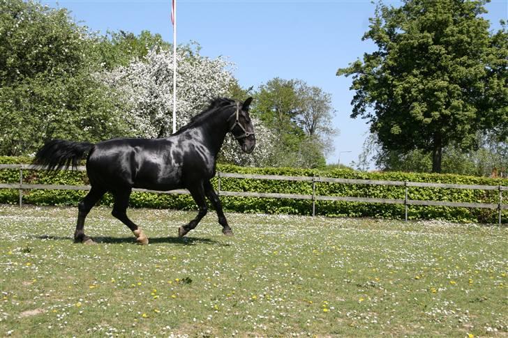 Oldenborg Lone Donholm - Min dejlige Lone på en skøn sommerdag billede 1