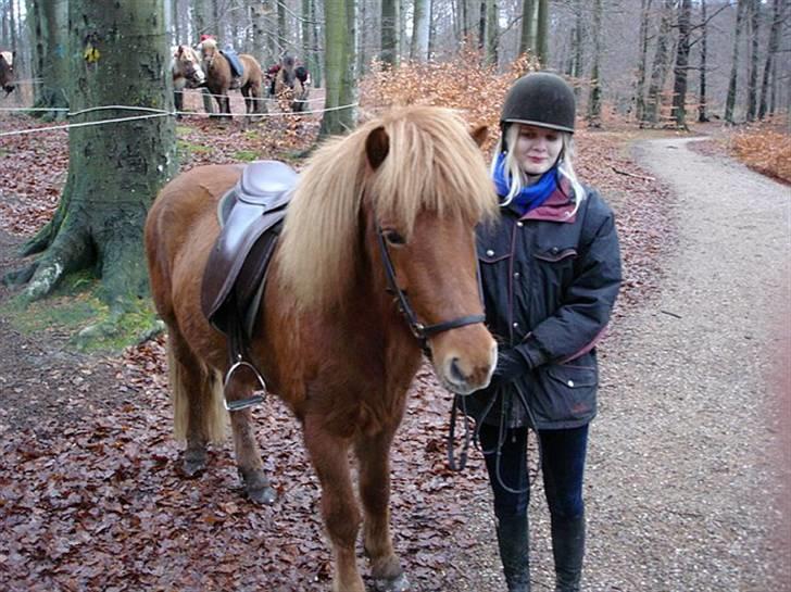 Islænder Ásta 002 fra Frederiksdal - Ásta og mig til gløggturen d. 7 dec 08 :) billede 3