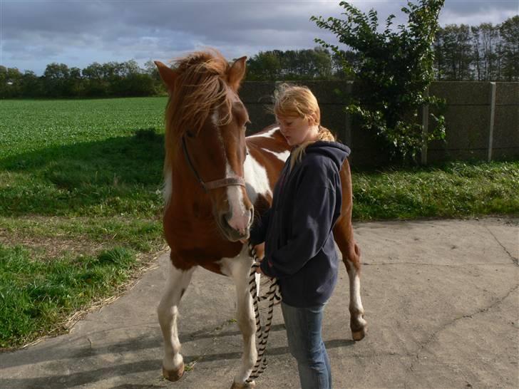 Anden særlig race Shela billede 7