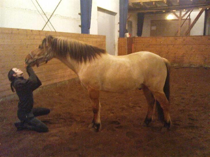 Anden særlig race Ingolf SOLGT - d. 10 december 2008 billede 17