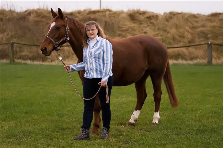 Anden særlig race Freja billede 7