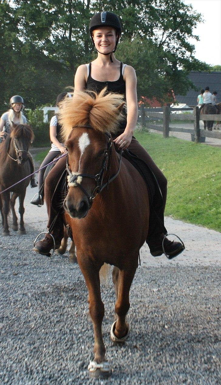 Islænder Mánadis - nårrrr. er hun ik sød??? (jo hun er) hehe billede 11