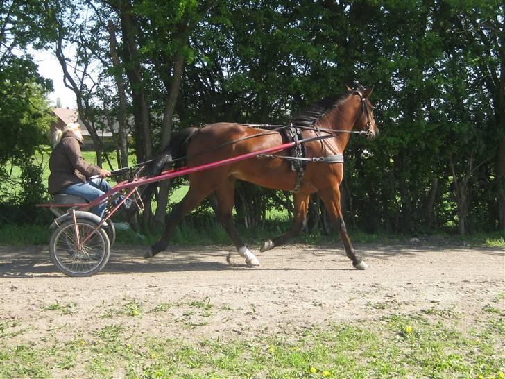 Traver Nitro Crown  - min mor & nitro træner (´: billede 15