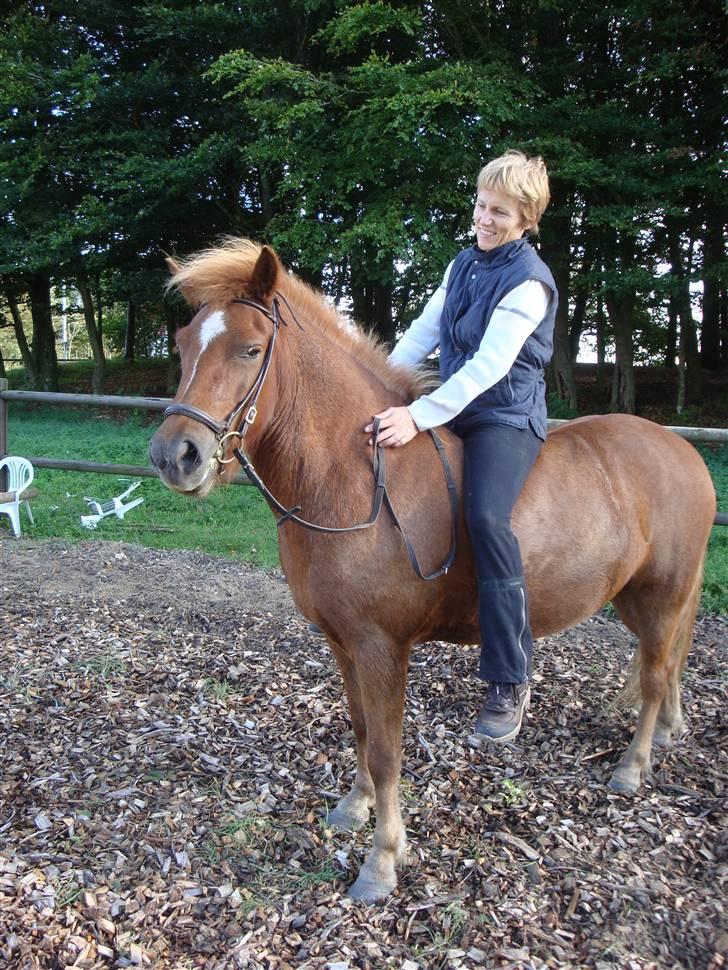 Islænder Mánadis - mána og min mor uden sadle ;D billede 13