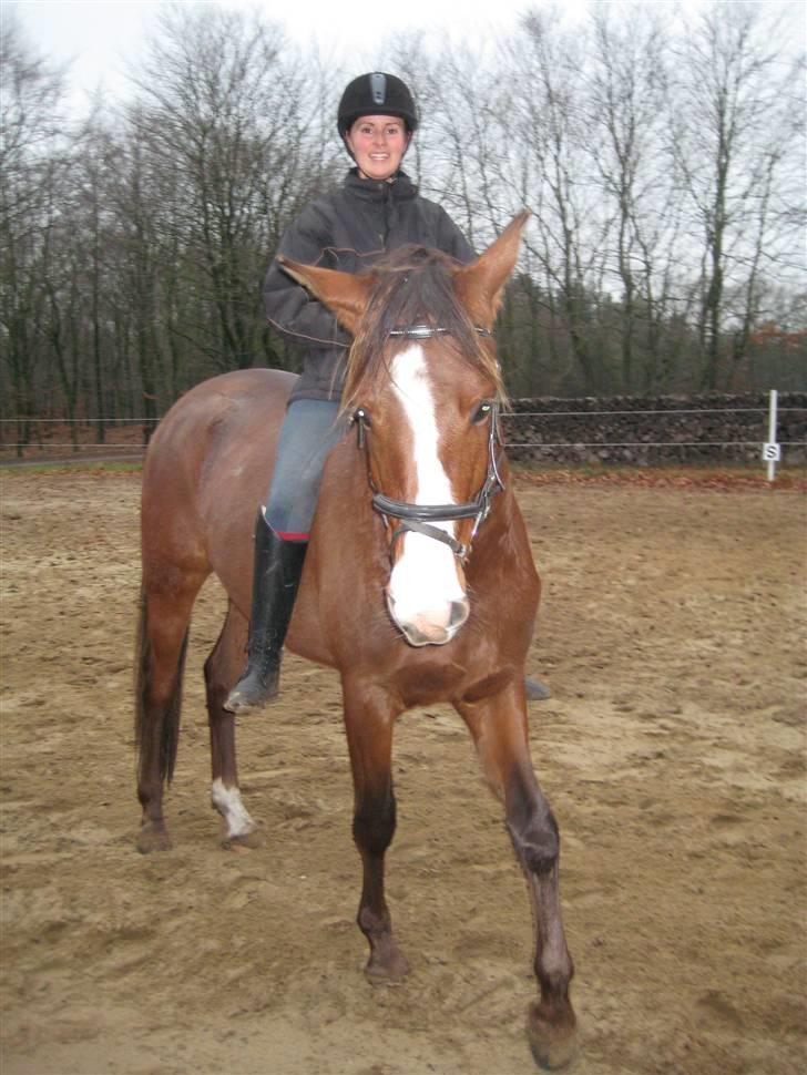 Sportsaraber (A) Shahs Poseidon Dihantho - Her er vi så uden "støtte-pædagog" *g* -en af de første gange jeg rider på Poseidon (december 08) billede 13