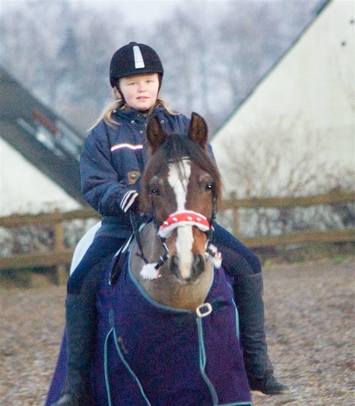 Anden særlig race †max†død - Skulle lige ha´varmen, inden jeg skulle af med mit tæppe. Det klarer Katrine billede 10