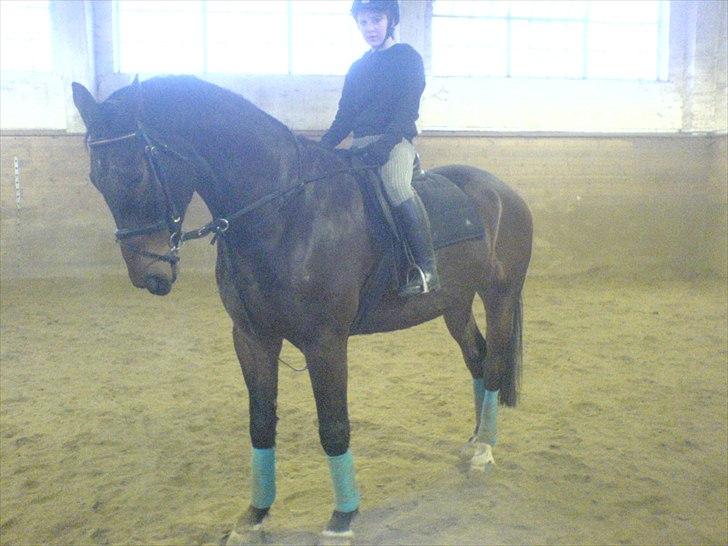 Oldenborg Egelund Milagro - på kasernen.  billede 7