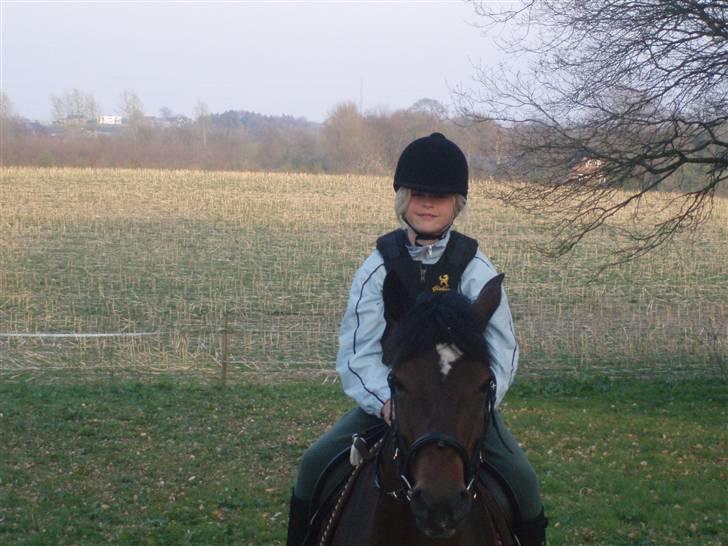 DSP Bæklunds Malacca - SOLGT billede 10