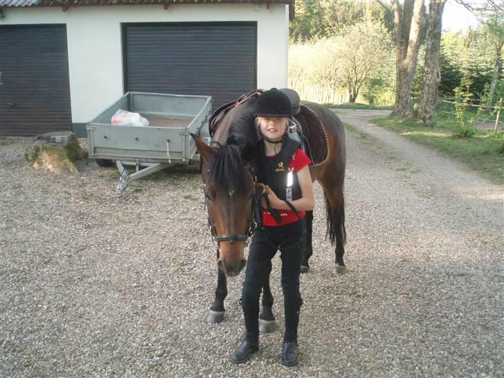 DSP Bæklunds Malacca - SOLGT billede 12