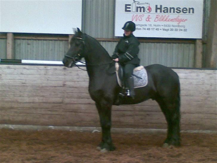 Frieser Kalif - havde redet lidt og så skule der tages nogle billederxD....(kalif og mig) billede 3