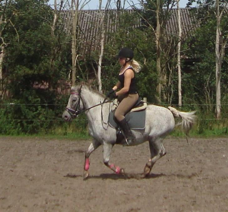 Anden særlig race Candy  - Galop d. 01.08.09 billede 16