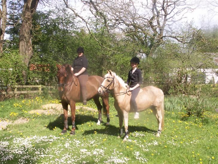 DSP Bes   - på tur - Katja og Melody, og Bess og jeg ! <3<3 billede 12