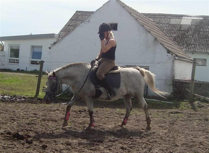 Anden særlig race Candy  - endelig færdig med træning d. 01.08.09 .  billede 17