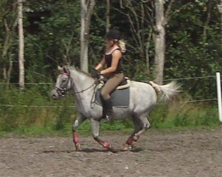 Anden særlig race Candy  - Galop d. 01.08.09 billede 18