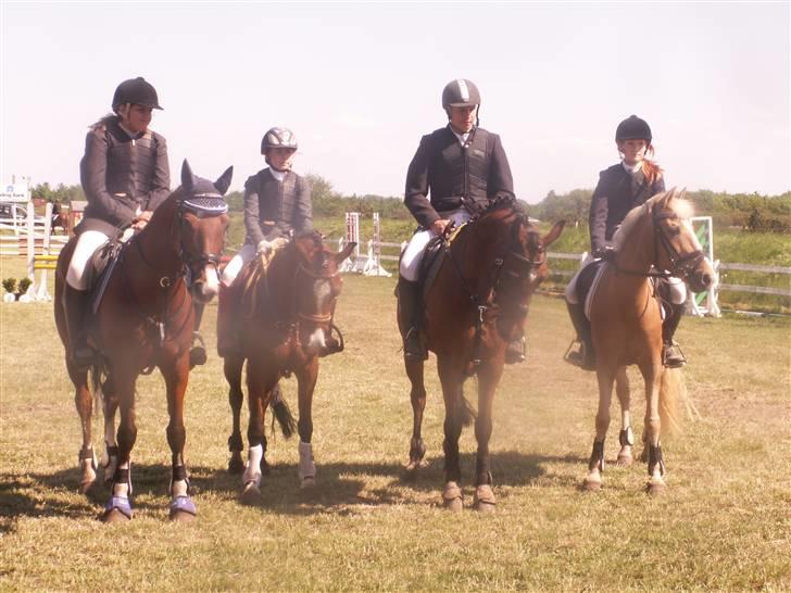 DSP Bes   billede 13