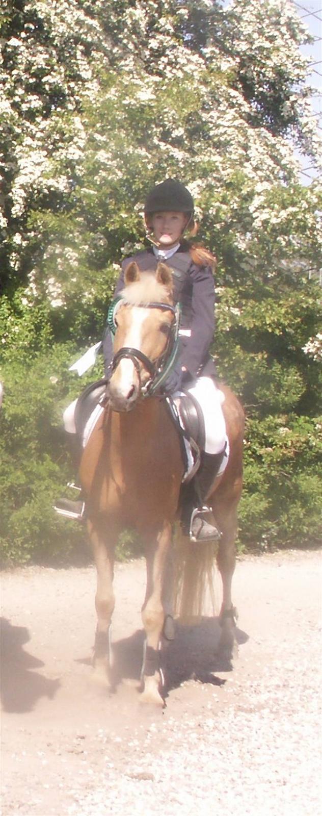 DSP Bes   - hold mesterskab :D:D billede 16