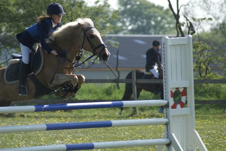 DSP Bes   - Du er urtolig, Du er helt unik, Du er fantastisk, DU ER PERFEKT! - prøv se sur ud Bes :D billede 18