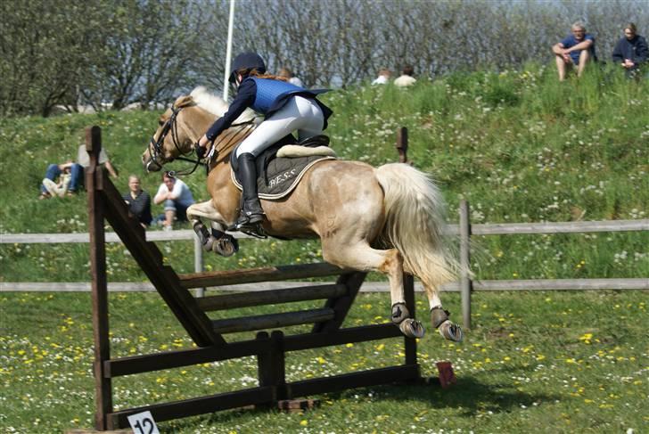 DSP Bes   - kys vores røv tabere! xD - ej det er gas, I er sgu velkommen oppe foran, hvis i kan følge med! <3 billede 20