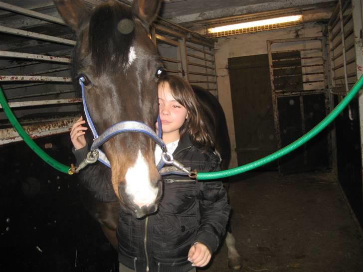 Holstener Campbell  SOLGT - Kramme bamse billede 7