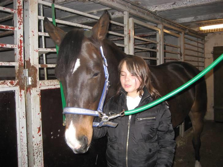 Holstener Campbell  SOLGT - tror han er lidt træt . billede 8
