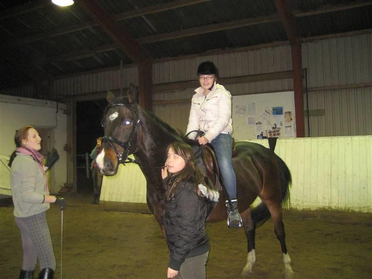 Holstener Campbell  SOLGT - Catrine, Camilla og LILLE :D billede 12