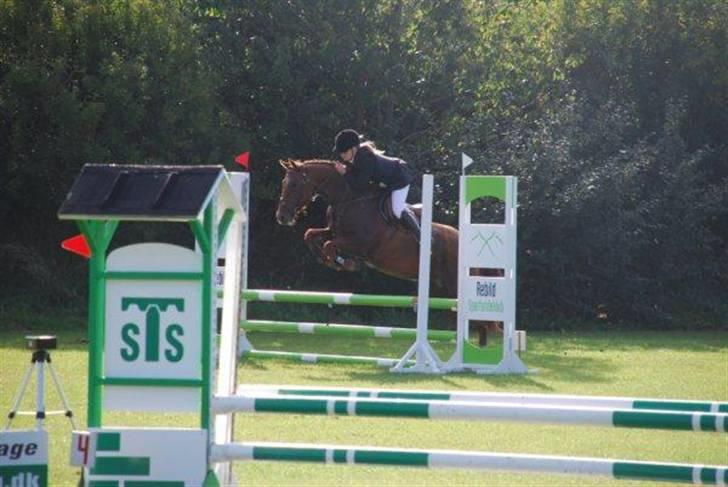 Hollandsk Sportspony Iwan *SOLGT* - iwan springer xD billede 6