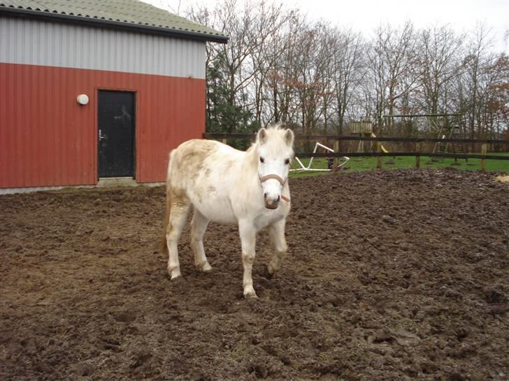 Anden særlig race Quickstep - 20| Hejhej. Tak fordi i kiggede forbi. <3 billede 20